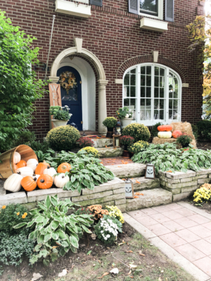 orange pumpkins cream pumpkins front door #falldecorations #fall #pumpkins