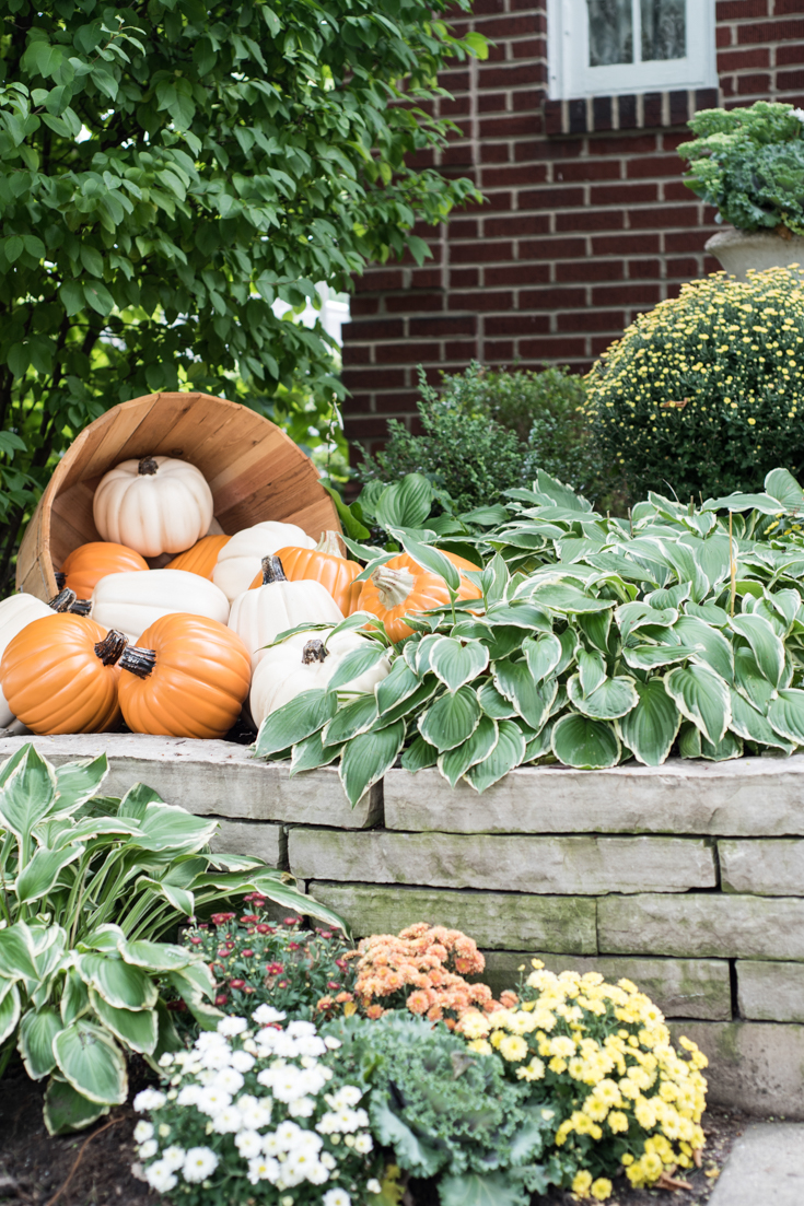 orange pumpkins cream pumpkins front door #falldecorations #fall #pumpkins