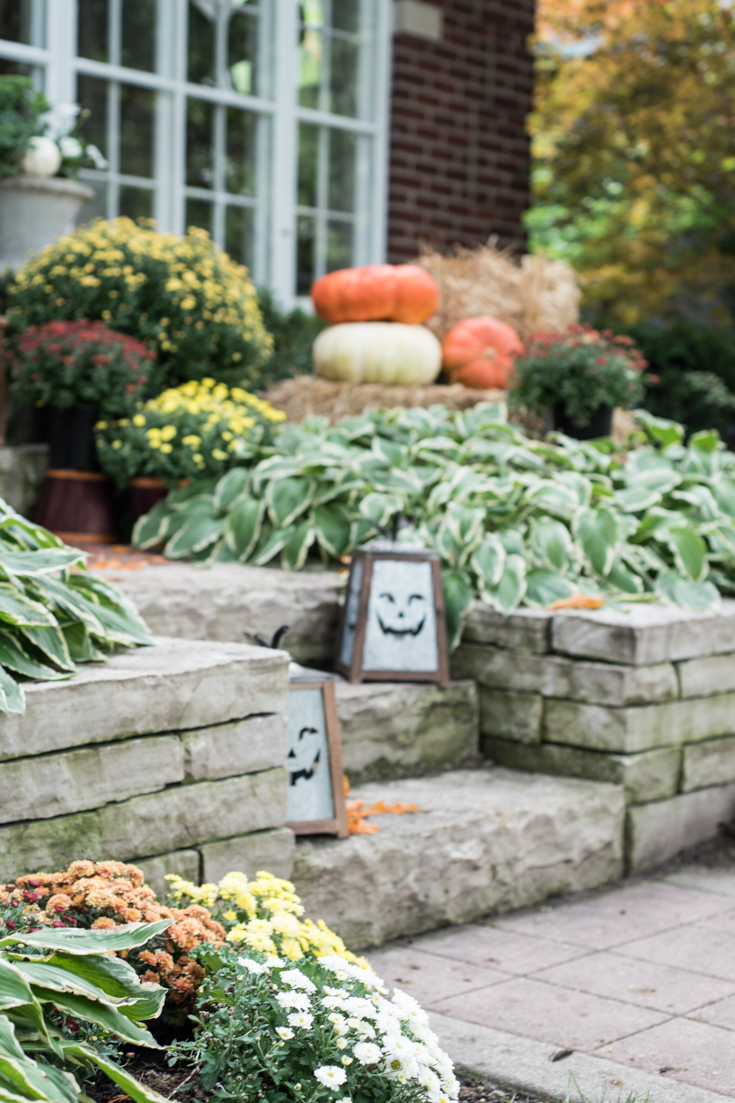 orange pumpkins cream pumpkins front door #falldecorations #fall #pumpkins