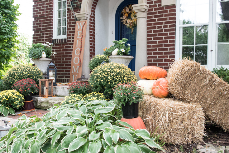 orange pumpkins cream pumpkins front door #falldecorations #fall #pumpkins