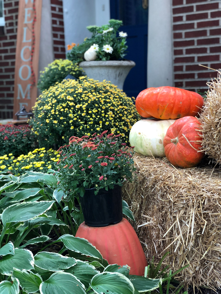 orange pumpkins cream pumpkins front door #falldecorations #fall #pumpkins