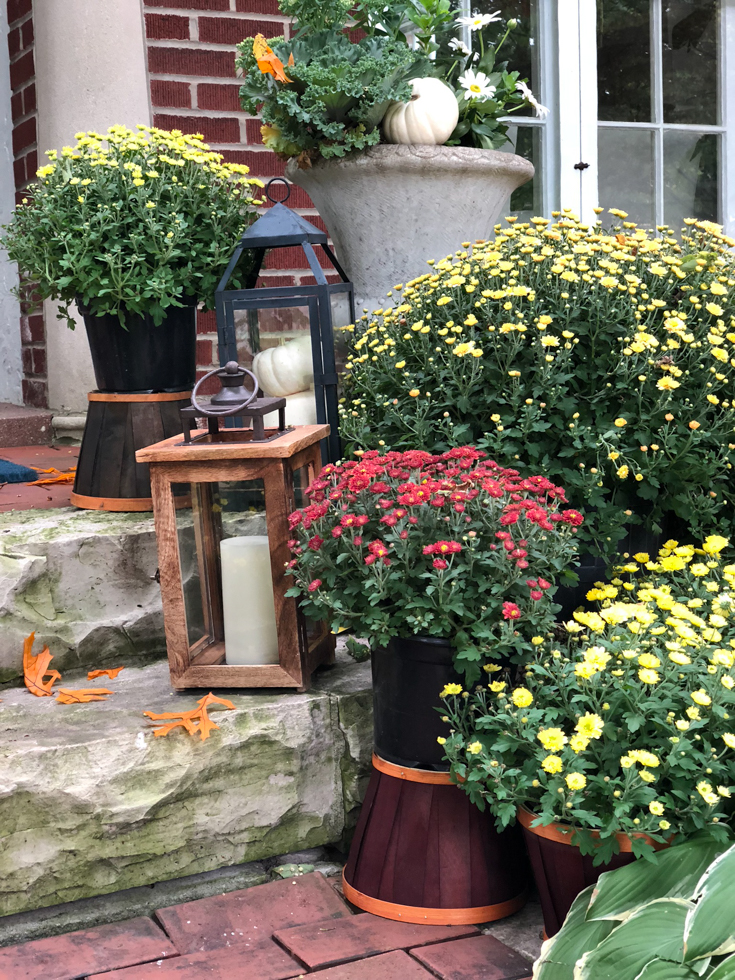 orange pumpkins cream pumpkins front door #falldecorations #fall #pumpkins