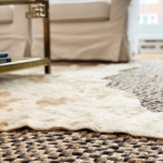 Affordable Area Rugs